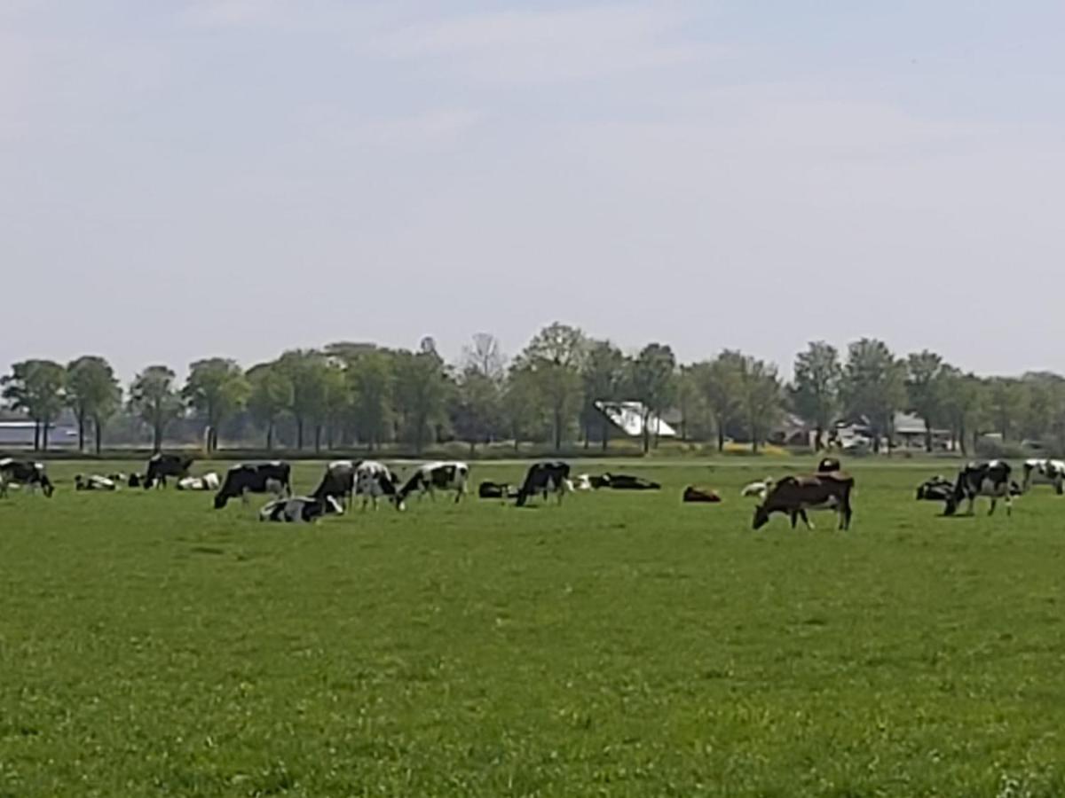 Luxe Gastenverblijf In Het Hart Van Friesland Akkrum Ngoại thất bức ảnh