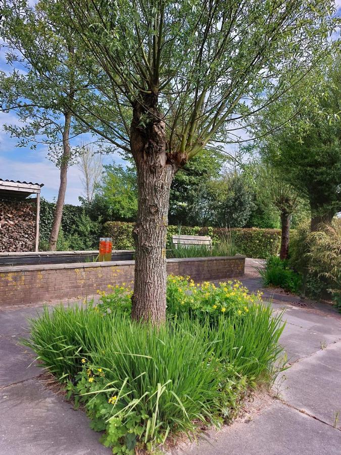 Luxe Gastenverblijf In Het Hart Van Friesland Akkrum Ngoại thất bức ảnh